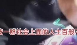 东北男人爆料事件视频大全,揭秘东北生活点滴